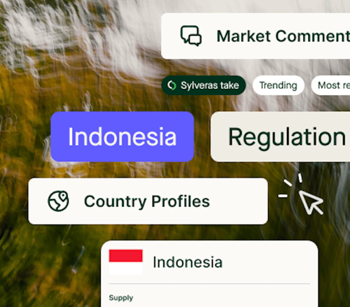 policy-screenshot